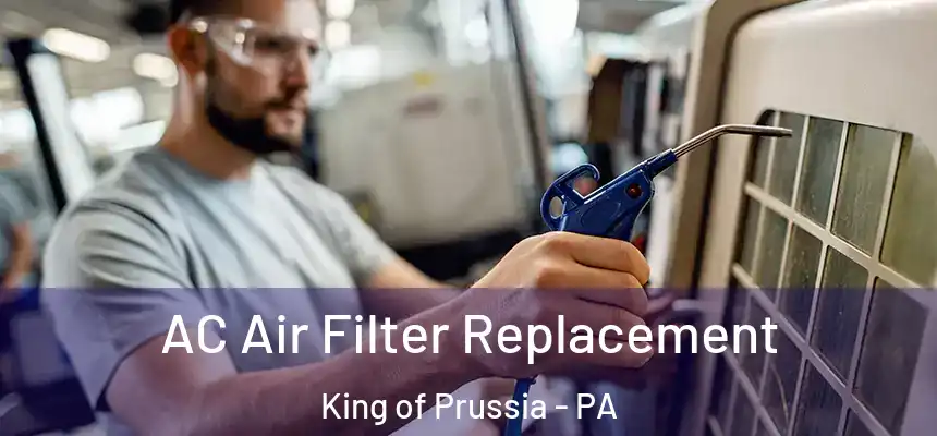  AC Air Filter Replacement King of Prussia - PA