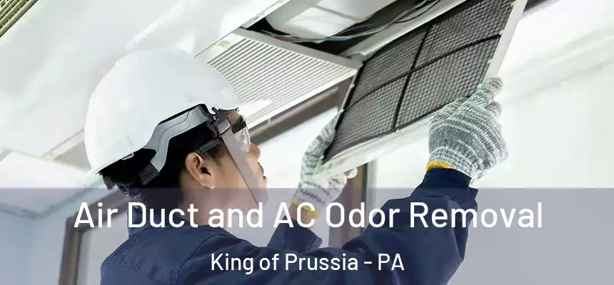 Air Duct and AC Odor Removal King of Prussia - PA