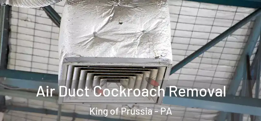 Air Duct Cockroach Removal King of Prussia - PA