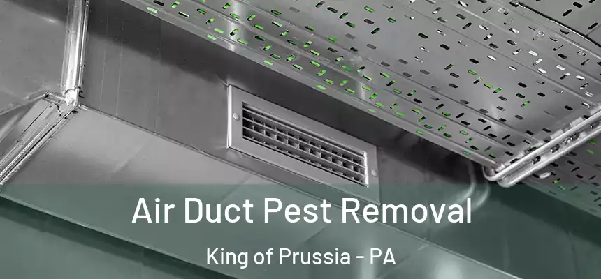 Air Duct Pest Removal King of Prussia - PA
