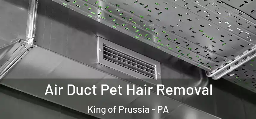  Air Duct Pet Hair Removal King of Prussia - PA
