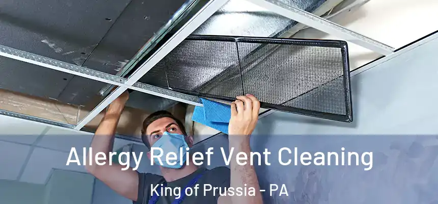  Allergy Relief Vent Cleaning King of Prussia - PA
