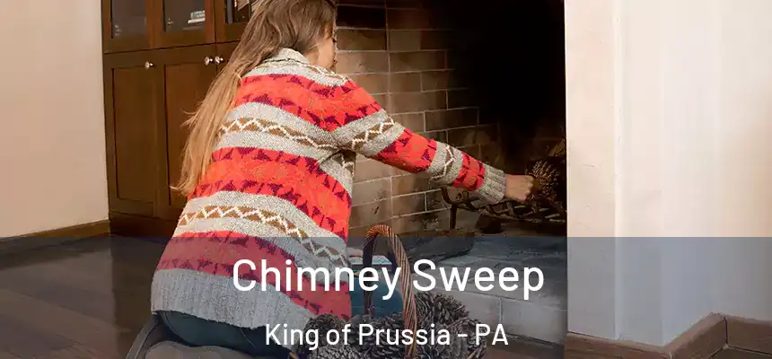 Chimney Sweep King of Prussia - PA
