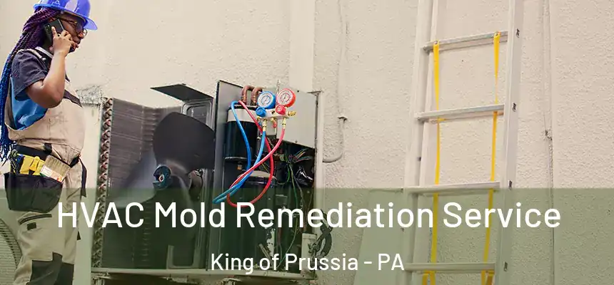  HVAC Mold Remediation Service King of Prussia - PA
