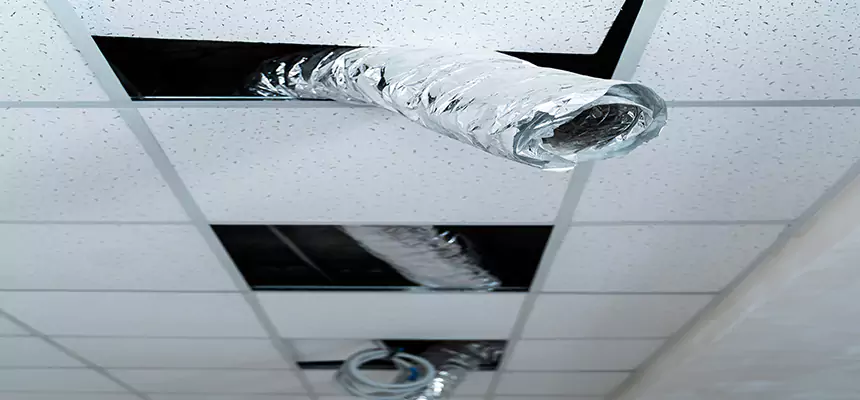 Affordable HVAC Sanitizing After Pest Removal in King of Prussia