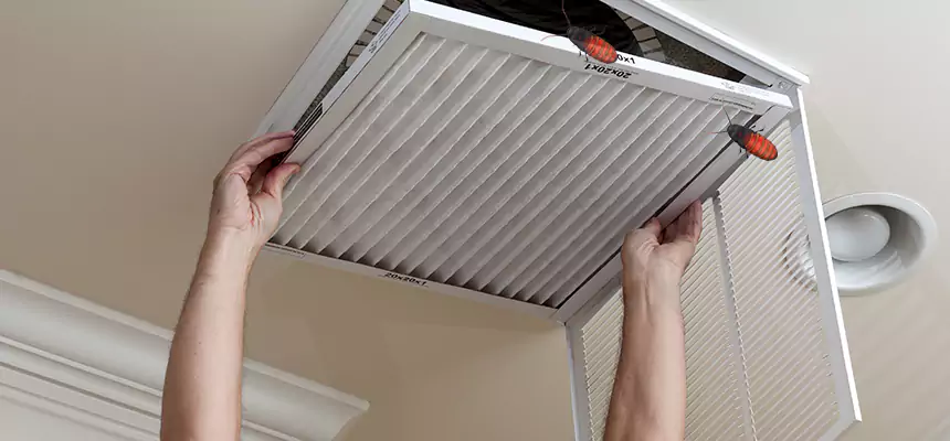Our Insect Removal from Air Ducts Services in King of Prussia, PA