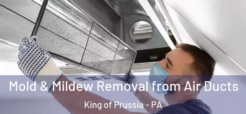  Mold & Mildew Removal from Air Ducts King of Prussia - PA