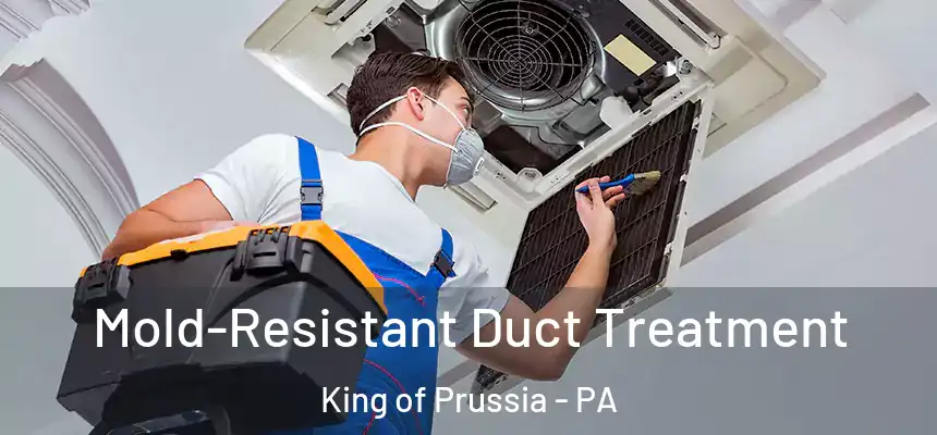  Mold-Resistant Duct Treatment King of Prussia - PA