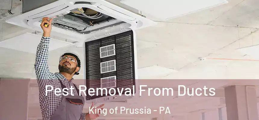 Pest Removal From Ducts King of Prussia - PA