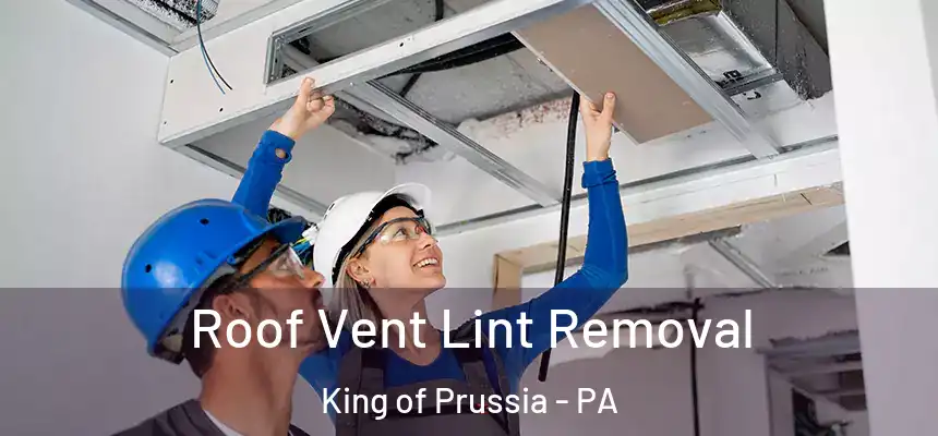 Roof Vent Lint Removal King of Prussia - PA