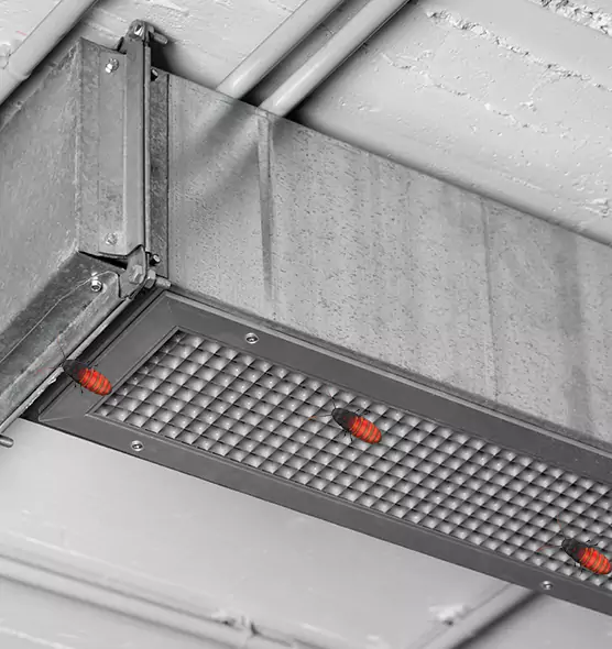 About Air Duct Cockroach Removal in King of Prussia, PA