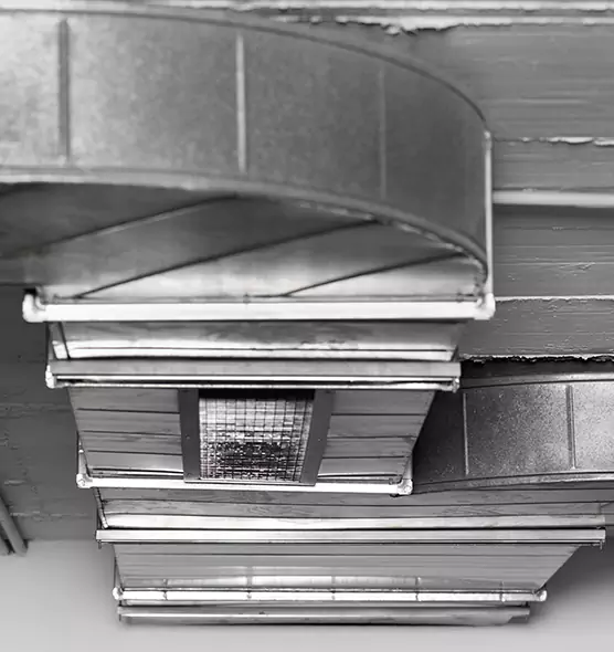 Professional Air Duct Pest Removal in King of Prussia, PA