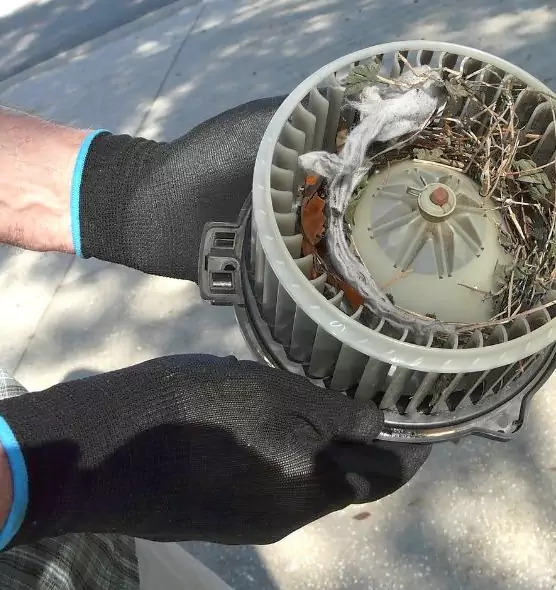 About Air Duct Rat Removal in King of Prussia, PA