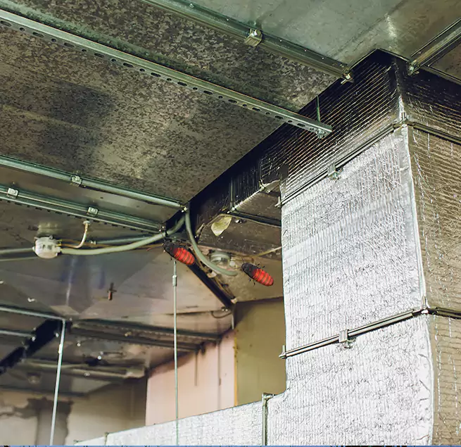 Why Homeowners & Businesses Trust Us in King of Prussia, PA?