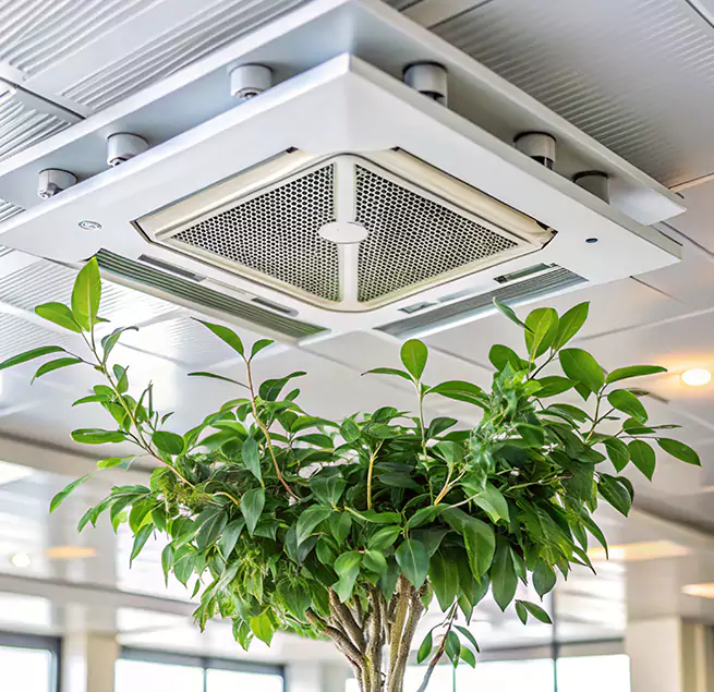 Why Homeowners & Businesses Trust Us in King of Prussia, PA